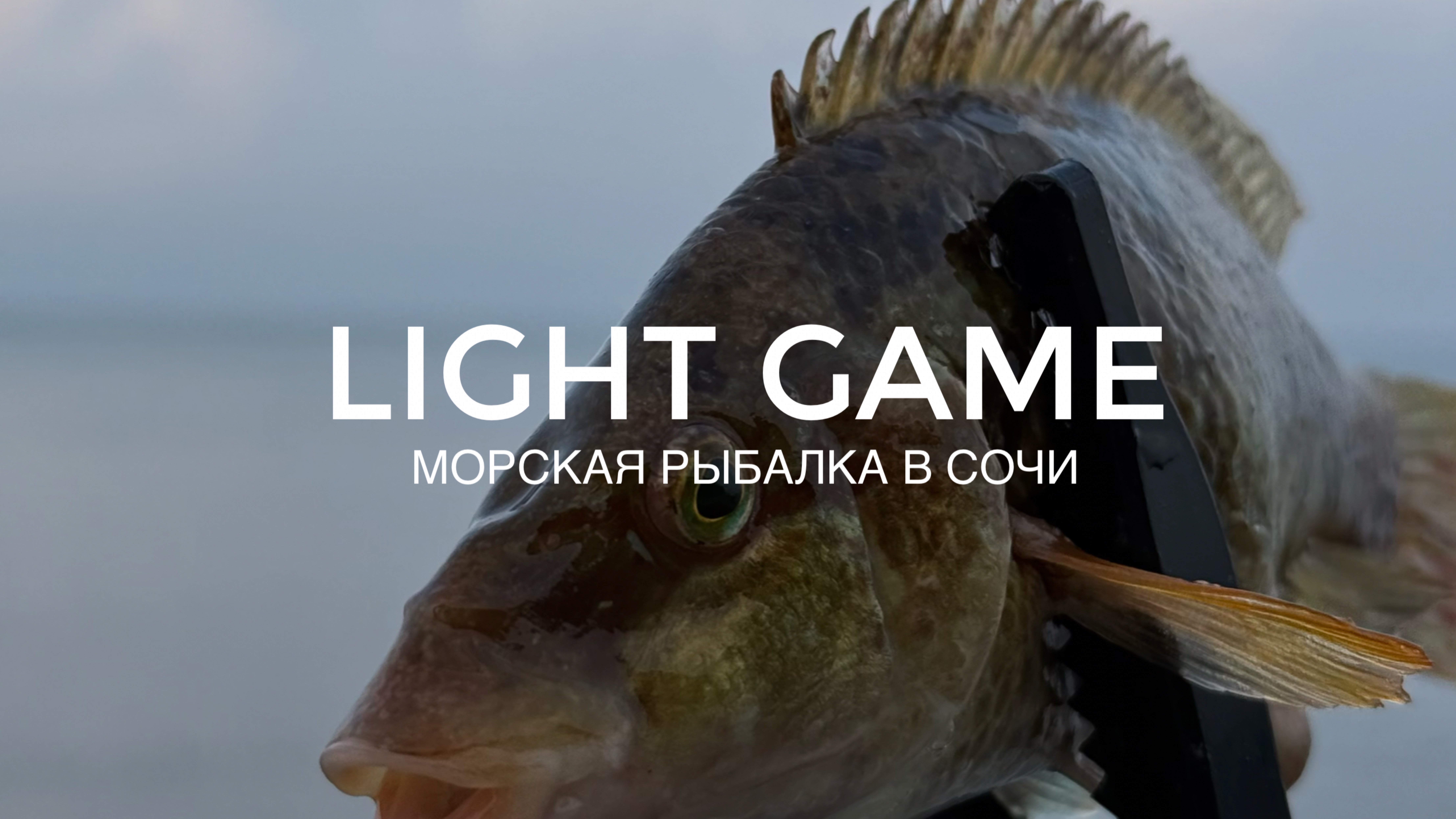 Рыбалка на Черном море на рассвете. Начало августа. Сочи.