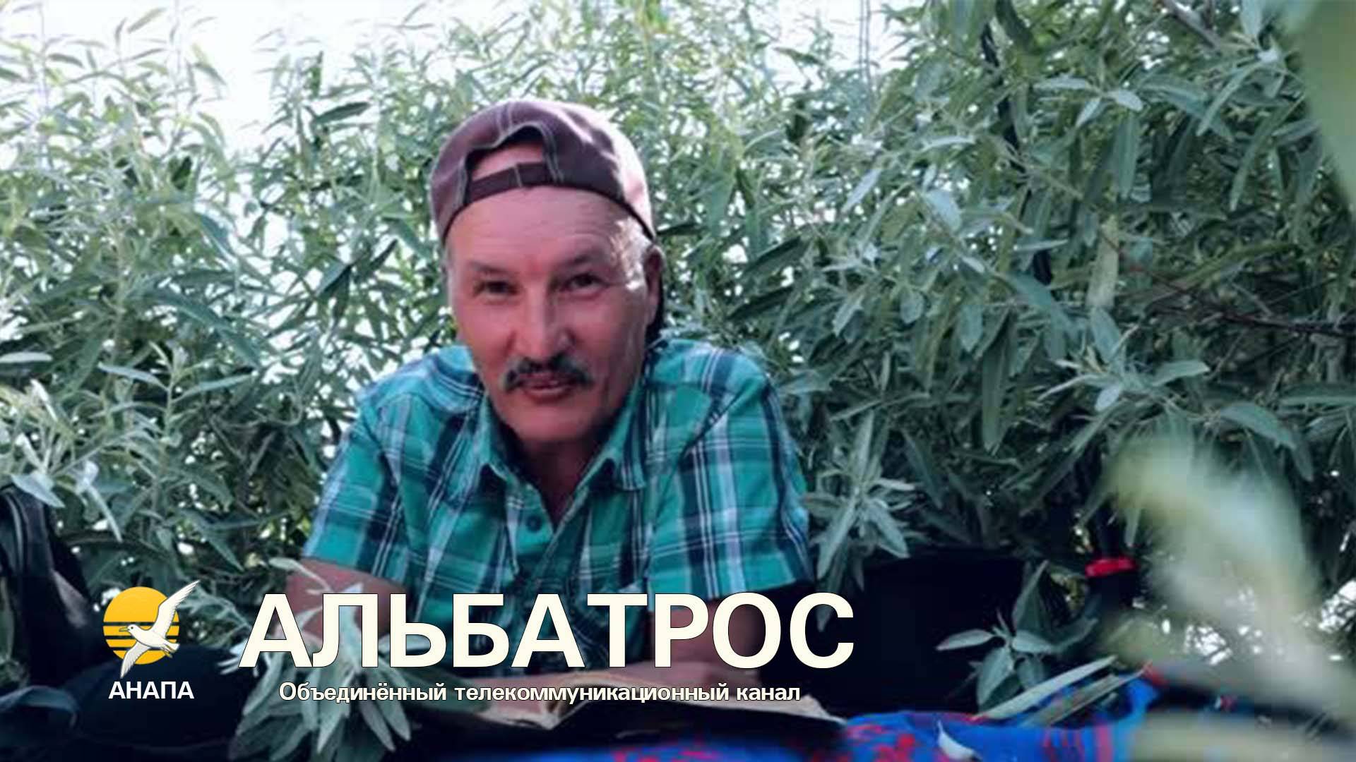 На волне Альбатроса: я, дюны, лох серебристый, детский поэт Граубин и море‑рассол /// 7 авг. 2025