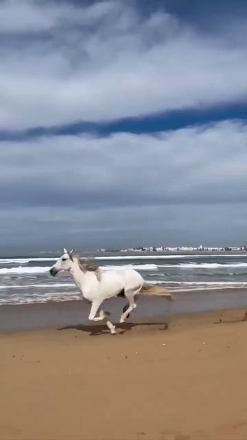 Мелодии, способные перенести вас в мир внутреннего покоя