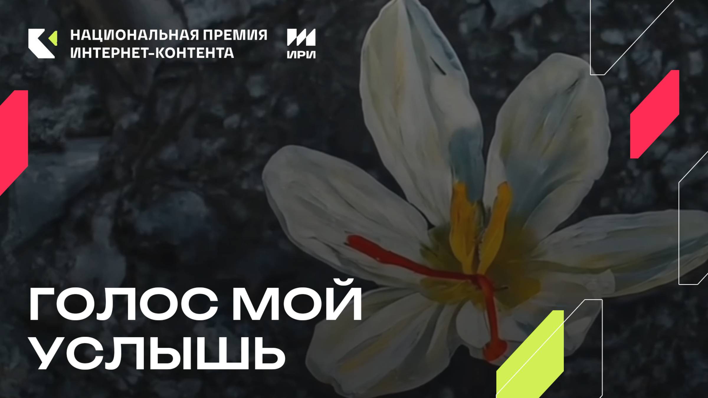 Музыкальный альбом «Голос мой услышь» - победитель в номинации «Социальная интернет-акция»