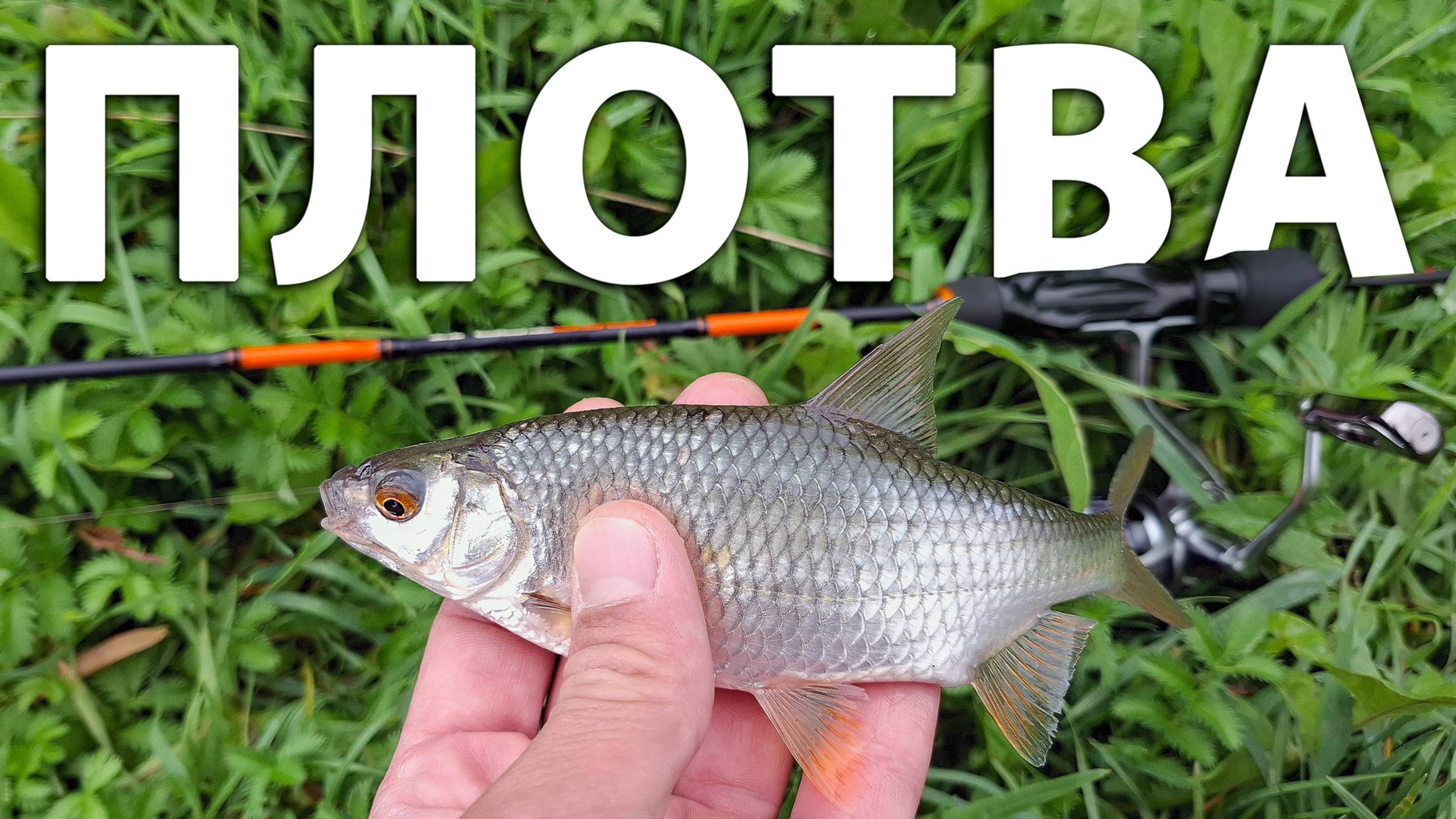 Плотва на мормышку. #Рыбалка на спиннинг в Московской области. Ловля окуня на искусственного мотыля