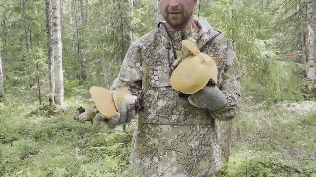 СУП 2023. 11 видео из 12.