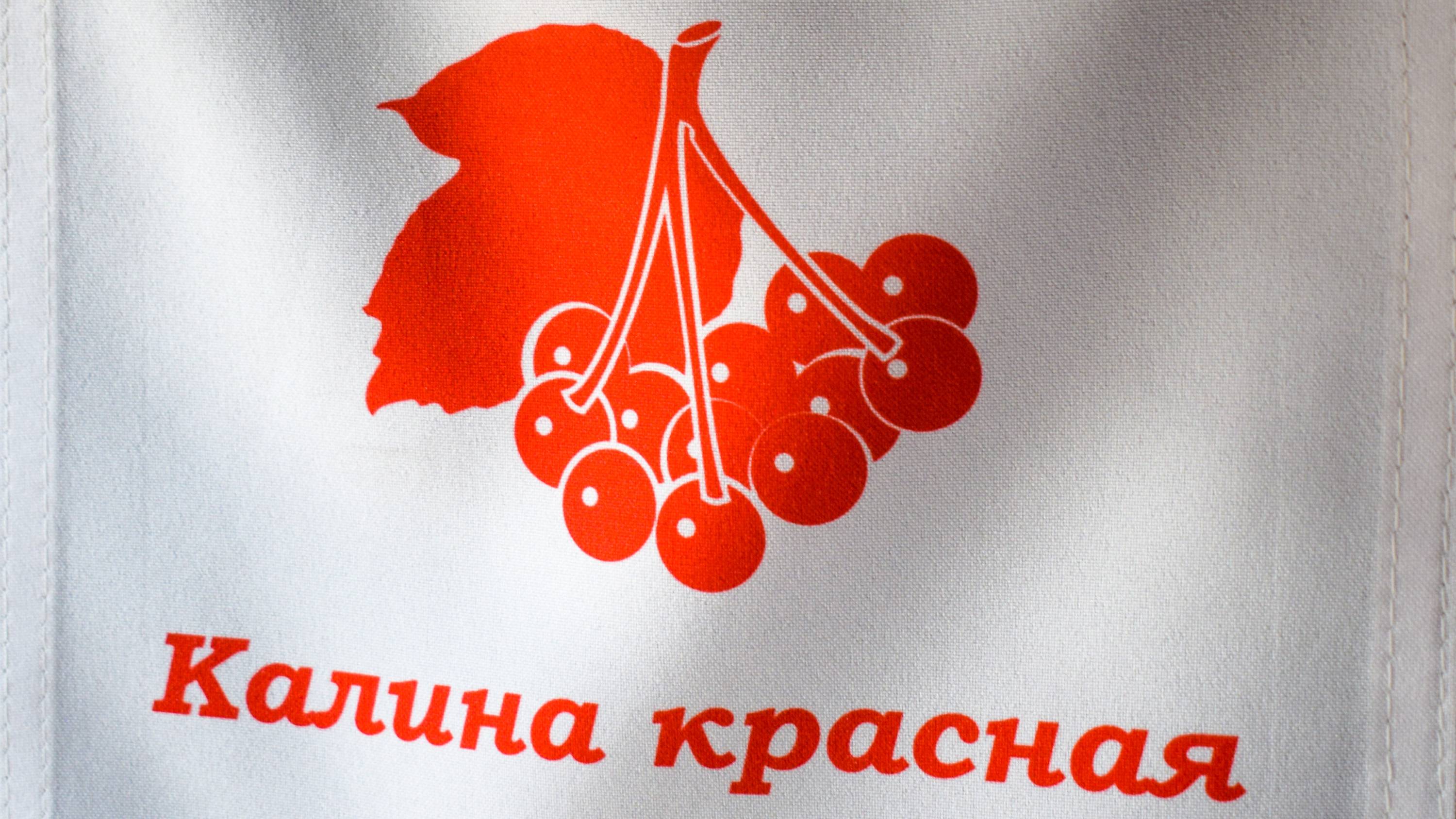 Поездка на поезде "Калина красная"