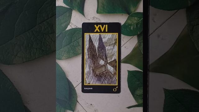 Для начинающих.Таро Манара.Старший аркан Башня.