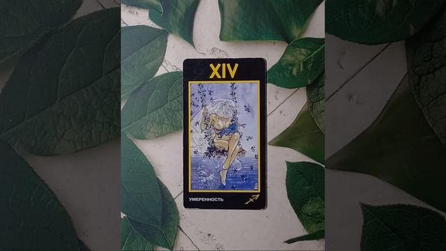 Для начинающих.Таро Манара.Старший аркан Умеренность.