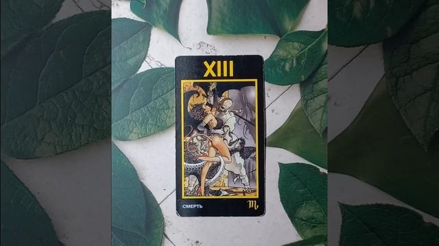 Для начинающих.Таро Манара.Старший аркан Смерть.