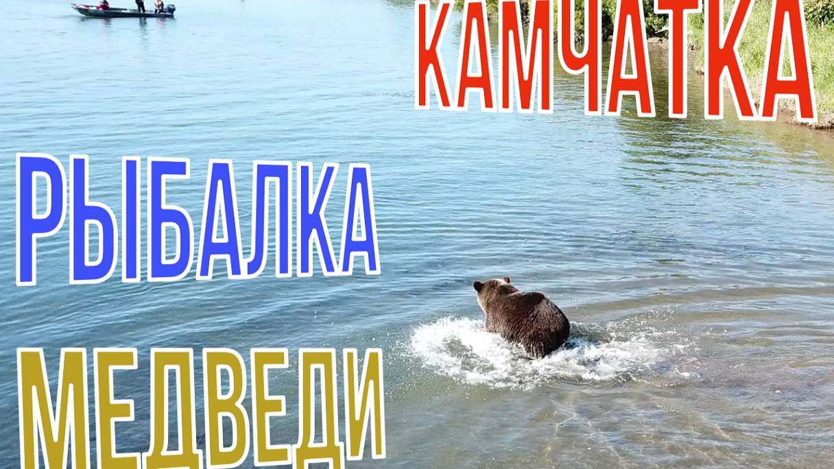 Камчатка. Рыбалка. Медведи. Кижучевая рыбалка!