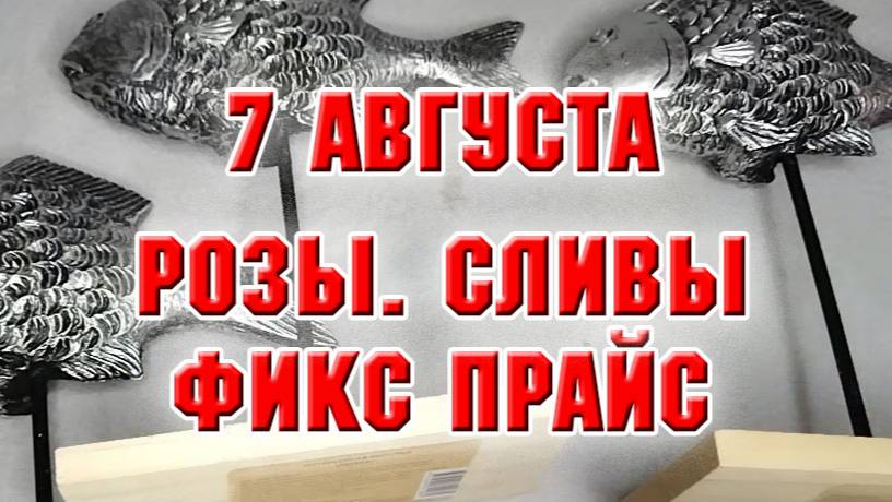 7 августа. Розы. Сливы. Фикс Прайс
