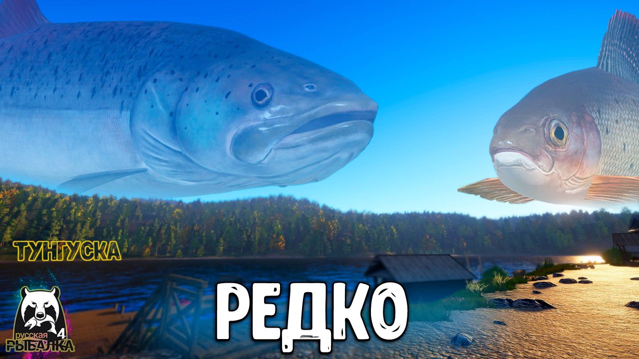 Rf4 очень редко рыбачим так и вот что произошло от этого #рр4