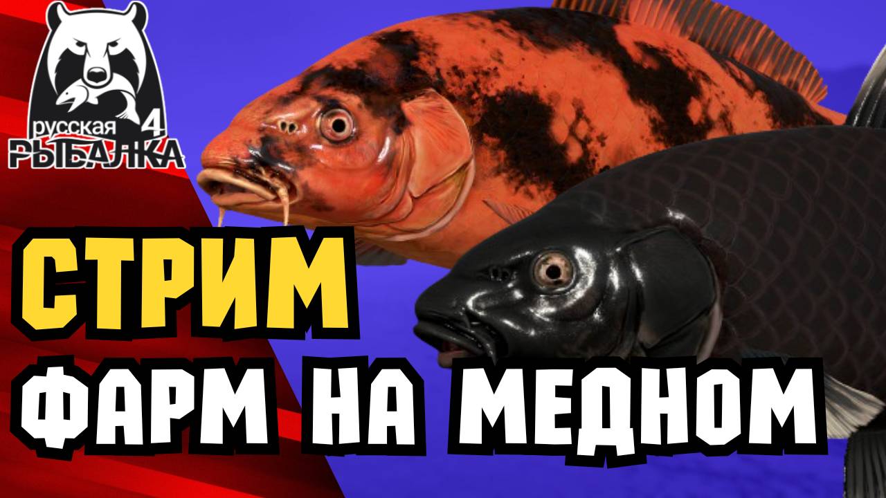 🔴 РР4 ТОП ФАРМ! Как фармить новичку РР4? [РР4 Стрим Прямой Эфир; Русская Рыбалка 4 Озеро Медное]