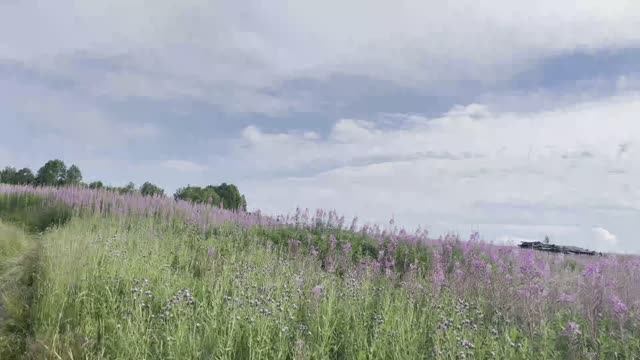 СУП 2023. 12 видео из 12.