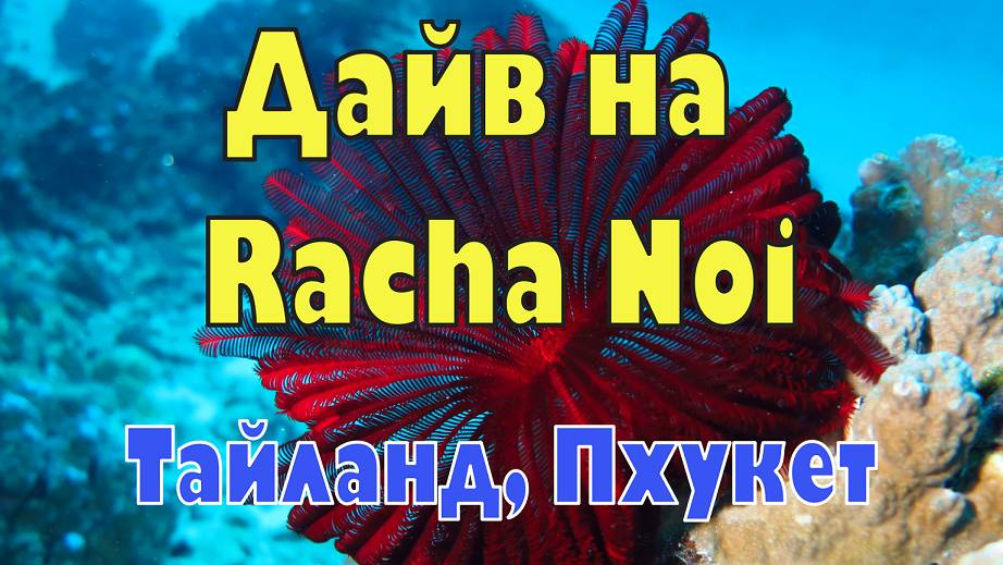 Тайланд, Пхукет - Racha Noi. Дневной дайв. Thailand, Phuket - Racha Noi.