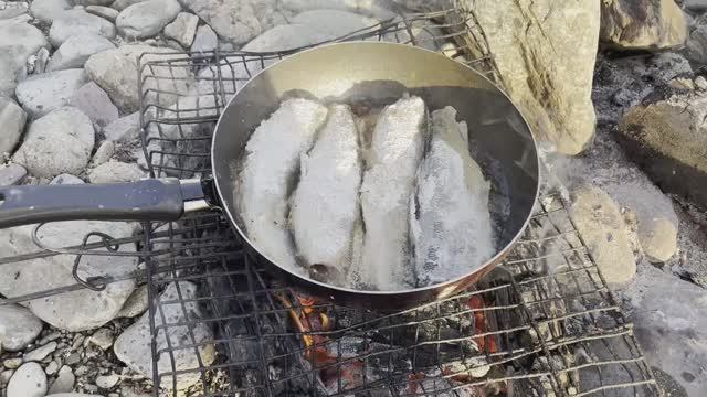 СУП 2023. 6 видео из 12.