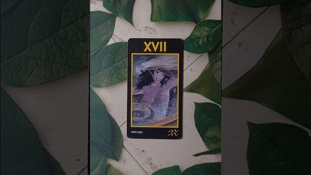 Для начинающих.Таро Манара.Старший аркан Звезда.