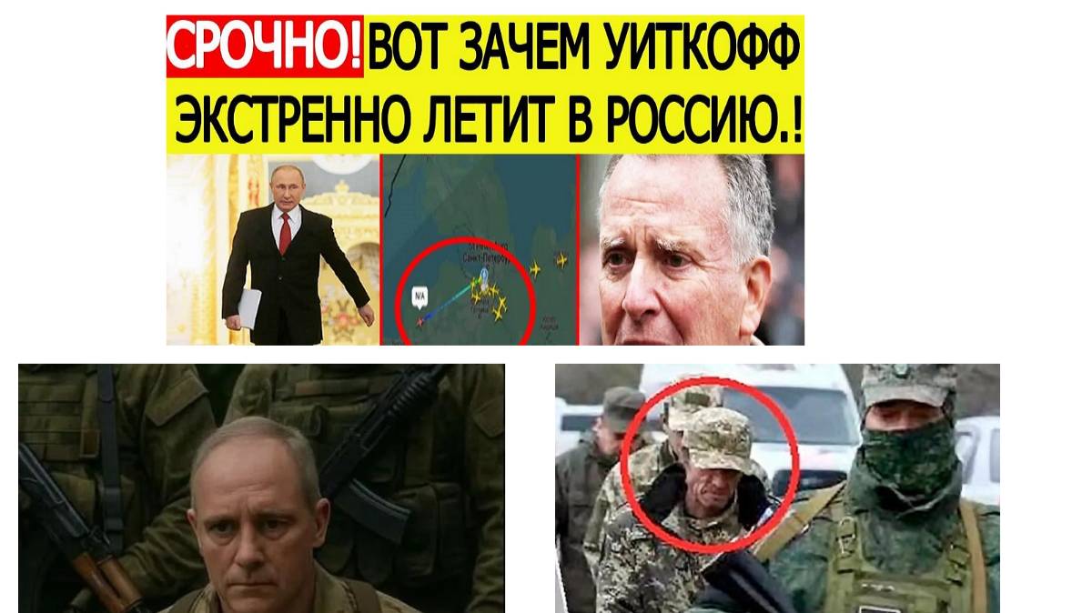 Офицеры НАТО захвачены в плен? За этим приезжал Уиткофф?