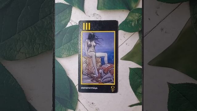 Для начинающих.Таро Манара.Старший аркан Императрица.