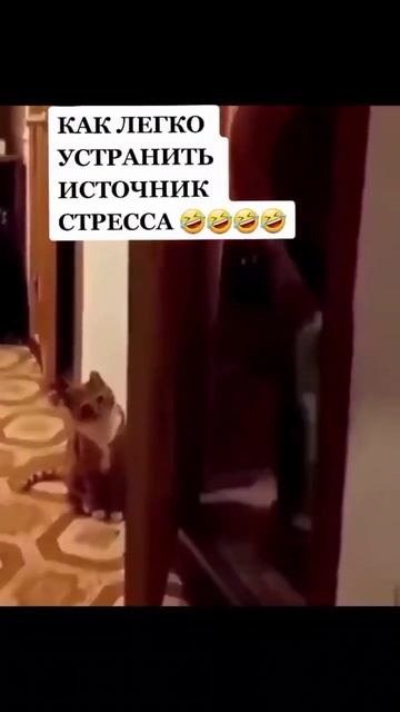 кЫска 🤣