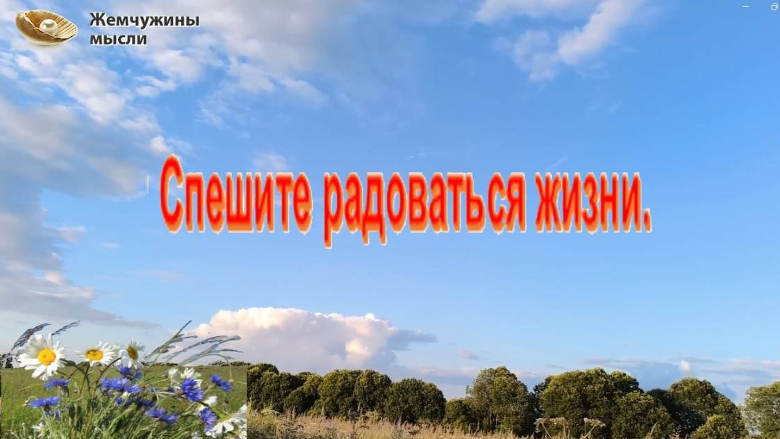 Умейте радоваться жизни. Спешите радоваться жизни, ее обыденным дарам.... Жемчужина мысли....