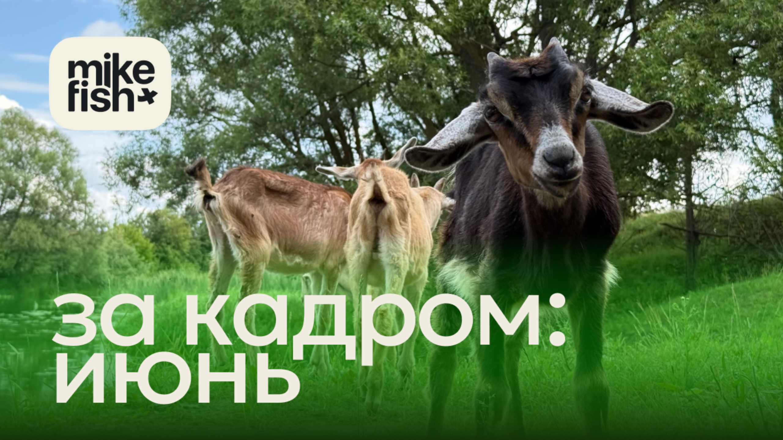 За кадром: рыбалки в июне 2025.