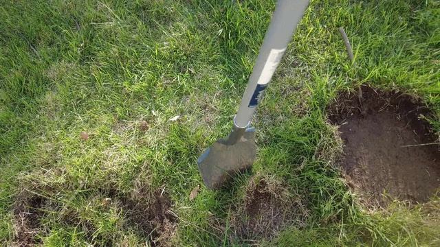 Raspberry Raised Bed 🧱 | Garden Project – Step 2: Weekend Progress