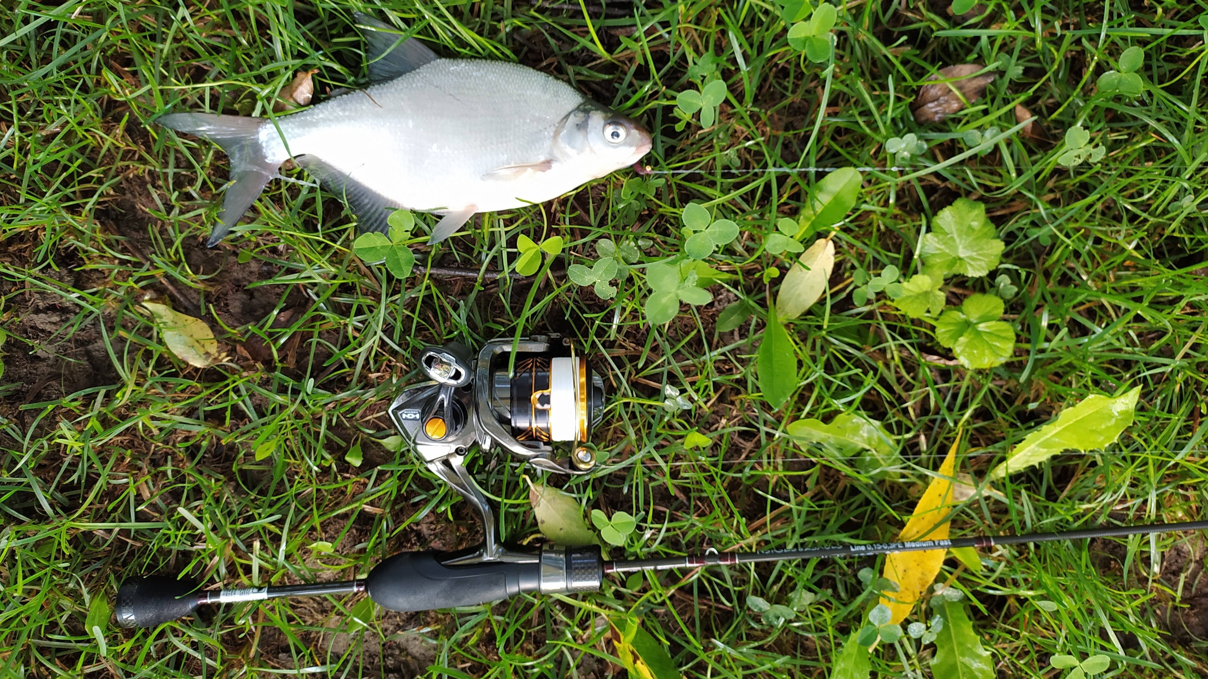 МОРМЫШИНГ. После дождей в начале августа