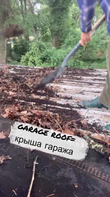 Аист на крыше.