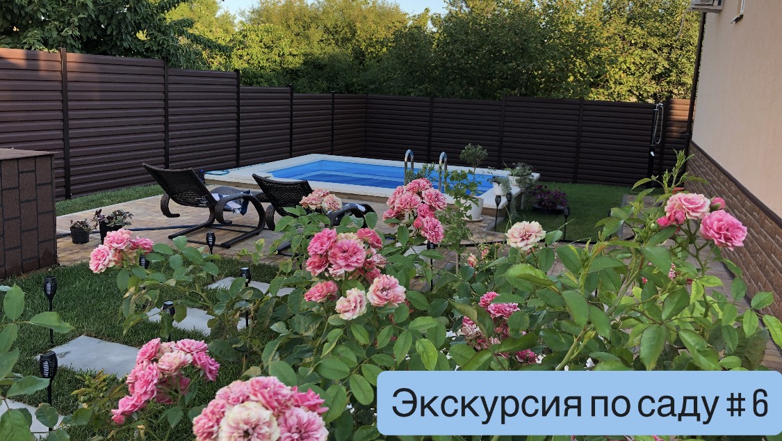 Экскурсия по саду # 6. Уложен газон, заполнен бассейн, в саду цветёт роза, гибискус, бугенвиллея