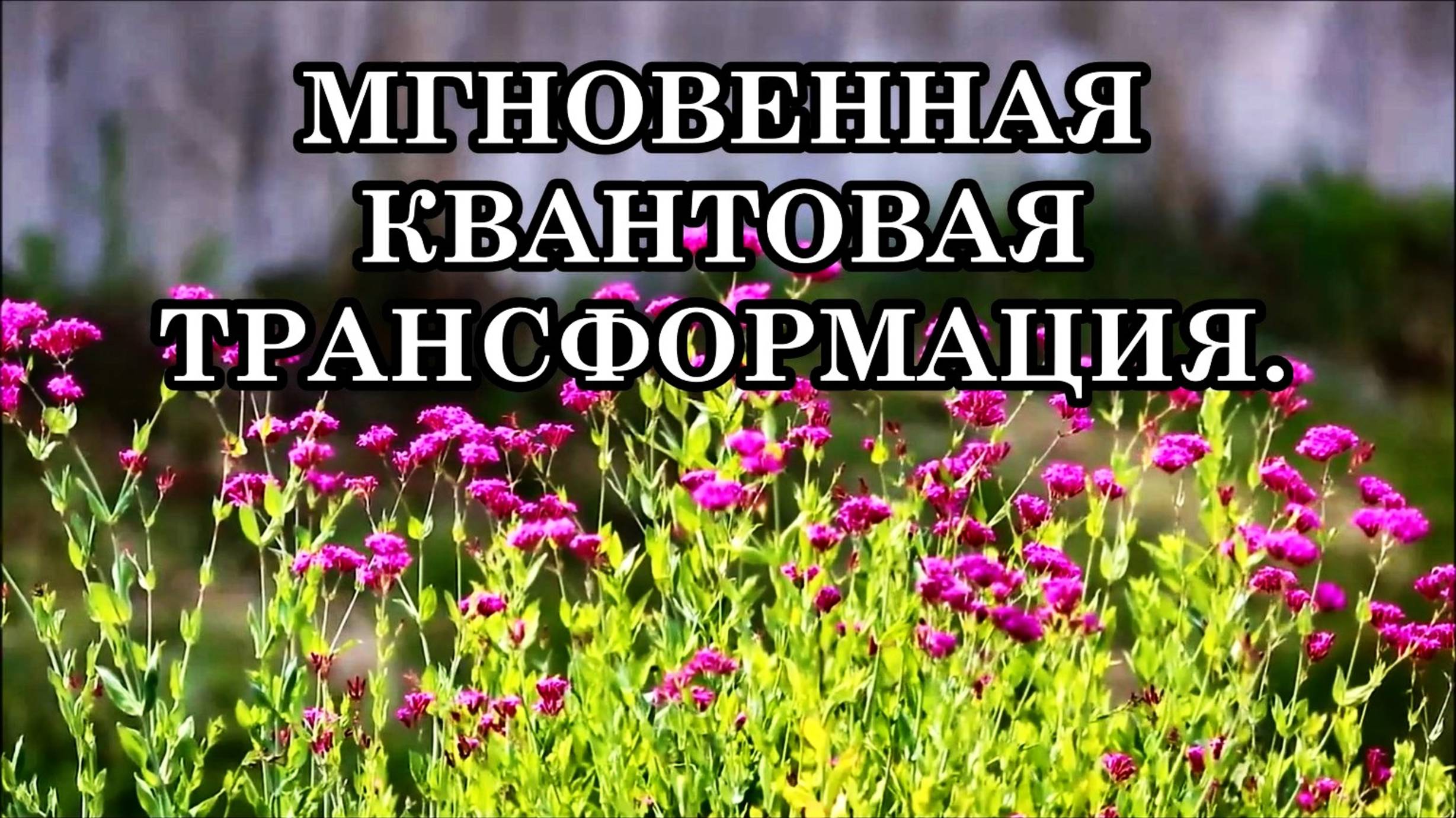 МГНОВЕННАЯ КВАНТОВАЯ ТРАНСФОРМАЦИЯ. МЫ НАЧИНАЕМ ЖИТЬ ПО-НАСТОЯЩЕМУ!