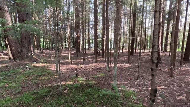 Селигер 2025/07