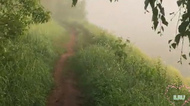 Истории из жизни|В поисках своего принца|Аудио рассказы|Аудиокниги слушать онлайн|Жизненные истории