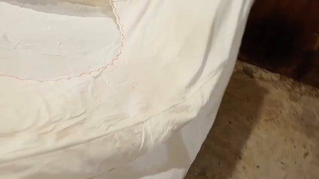 Мопеды сериал | Серия 1596