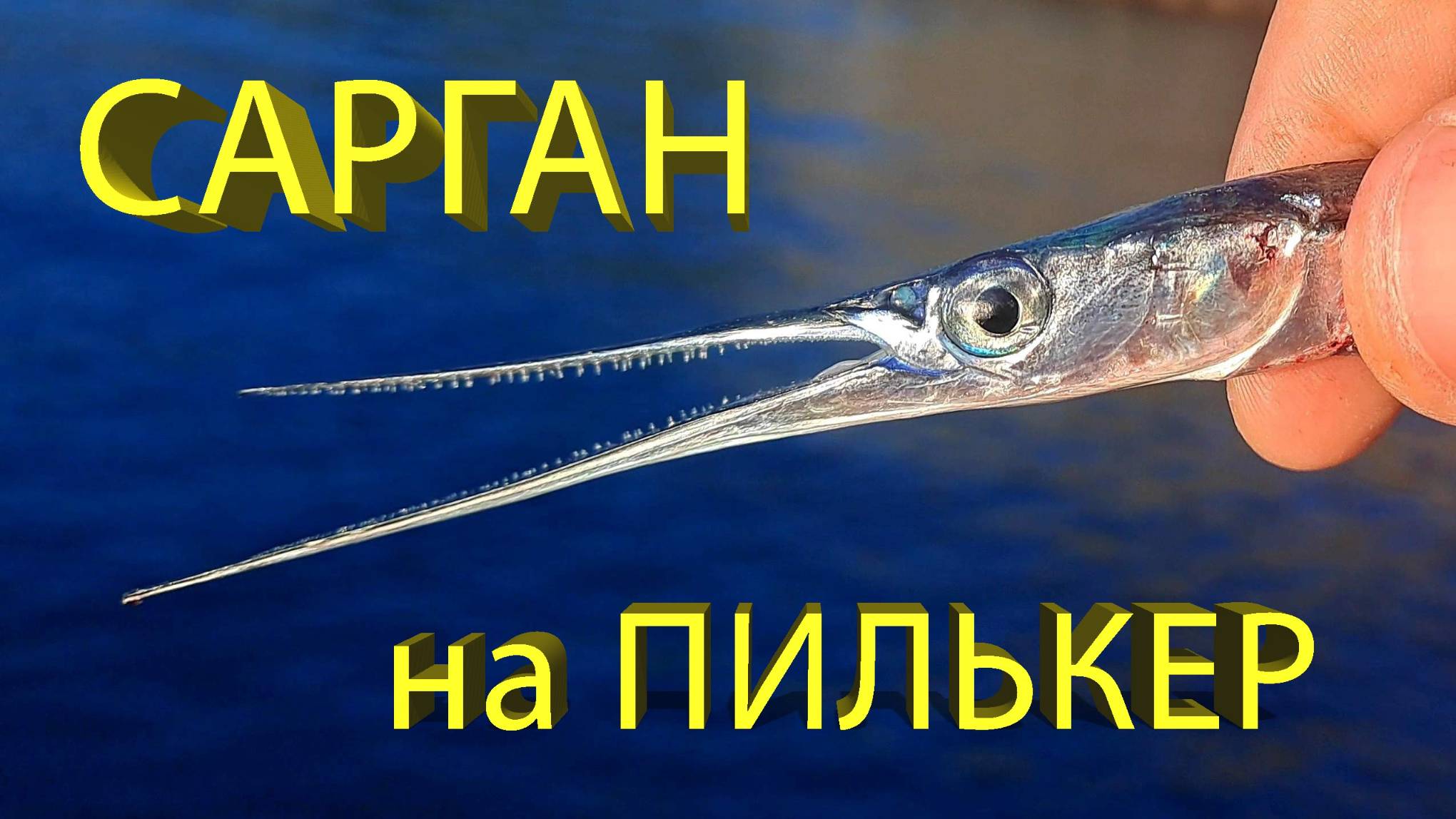 🔥 Как поймать САРГАНА на СПИННИНГ? Проводки и оснастки ПИЛЬКЕРОВ. Рыбалка на Черном море в Крыму🔥