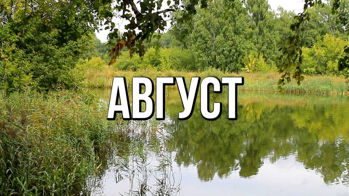 Август в Сибири