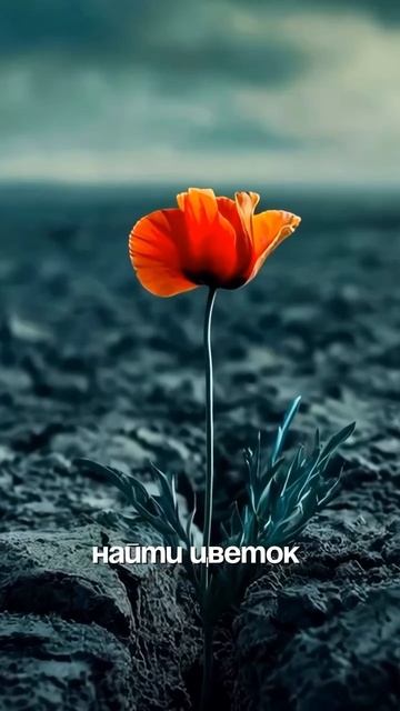 Как притянуть позитив в свою жизнь