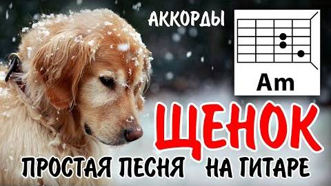 ЩЕНОК - ПРОСТАЯ ГРУСТНАЯ ПЕСНЯ НА ГИТАРЕ ПЕРЕБОРОМ (АККОРДЫ БЕЗ БАРРЭ) ПЕСНЯ МОЕЙ СЕСТРЫ