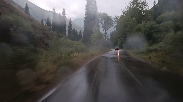 Подкаст "Поговорим" №15 // 07.08.2025