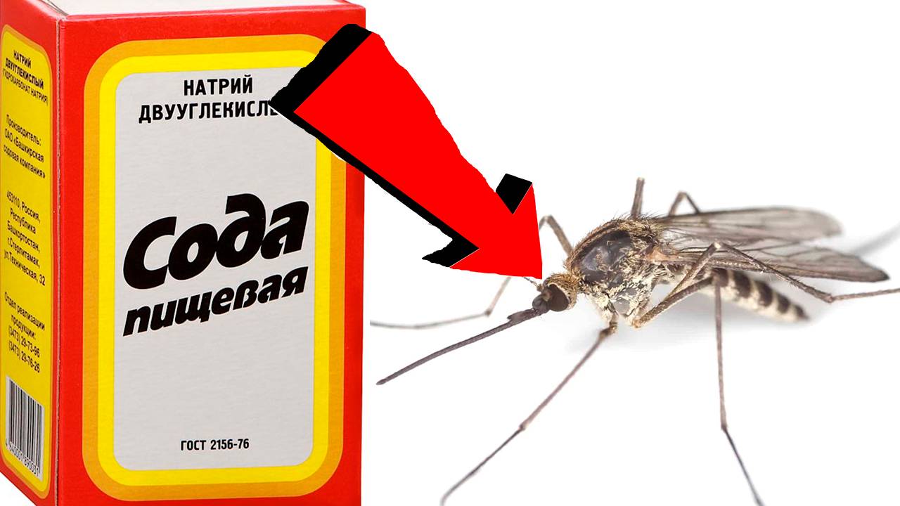 Как избавиться от комаров За 3 Секунды.!.!.!!!.!.!