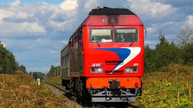 Красный ТЭП70БС-025 с рабочим поездом следует через о.п. 133 км