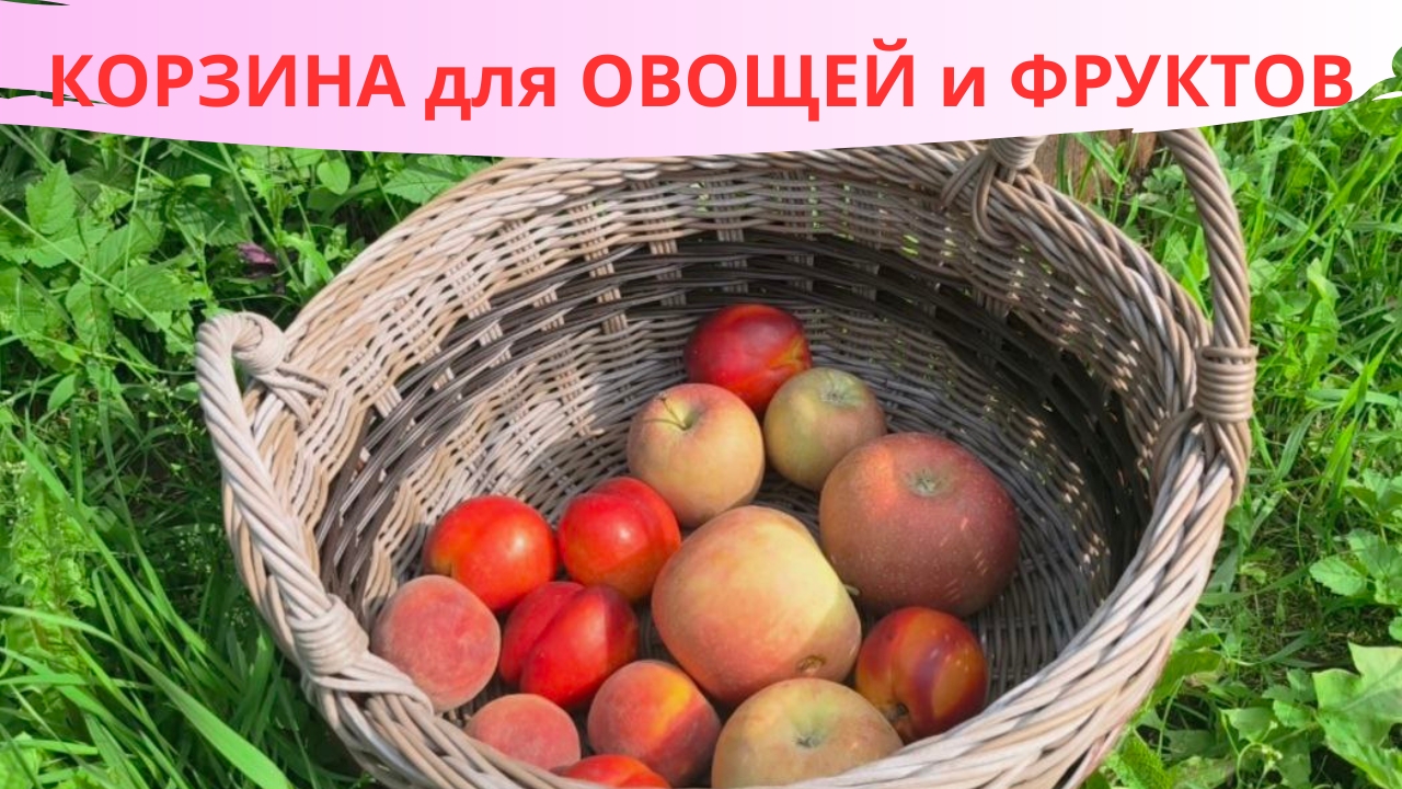 КОРЗИНА для ОВОЩЕЙ и ФРУКТОВ