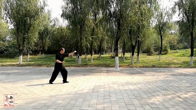 Десятиминутный учебник Синъи Цюань - Цзуань Цюань (Сверлящий кулак) Байрон Джейкобс