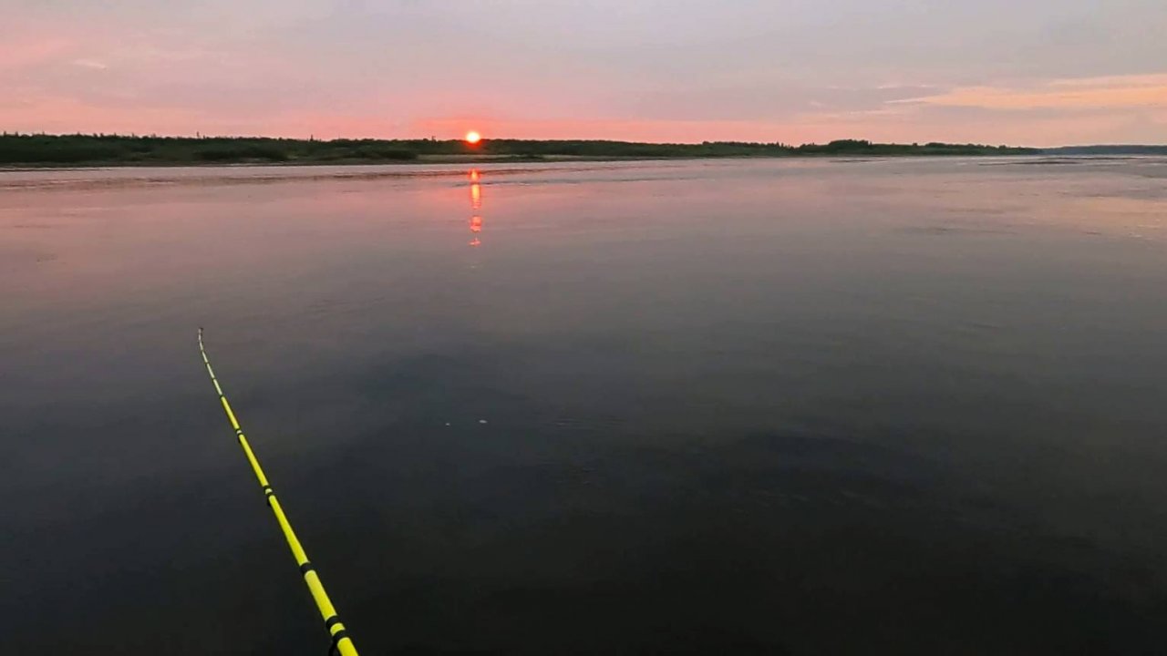 Сколько рыбы можно поймать за 1.5 часа \ 06.08.2025