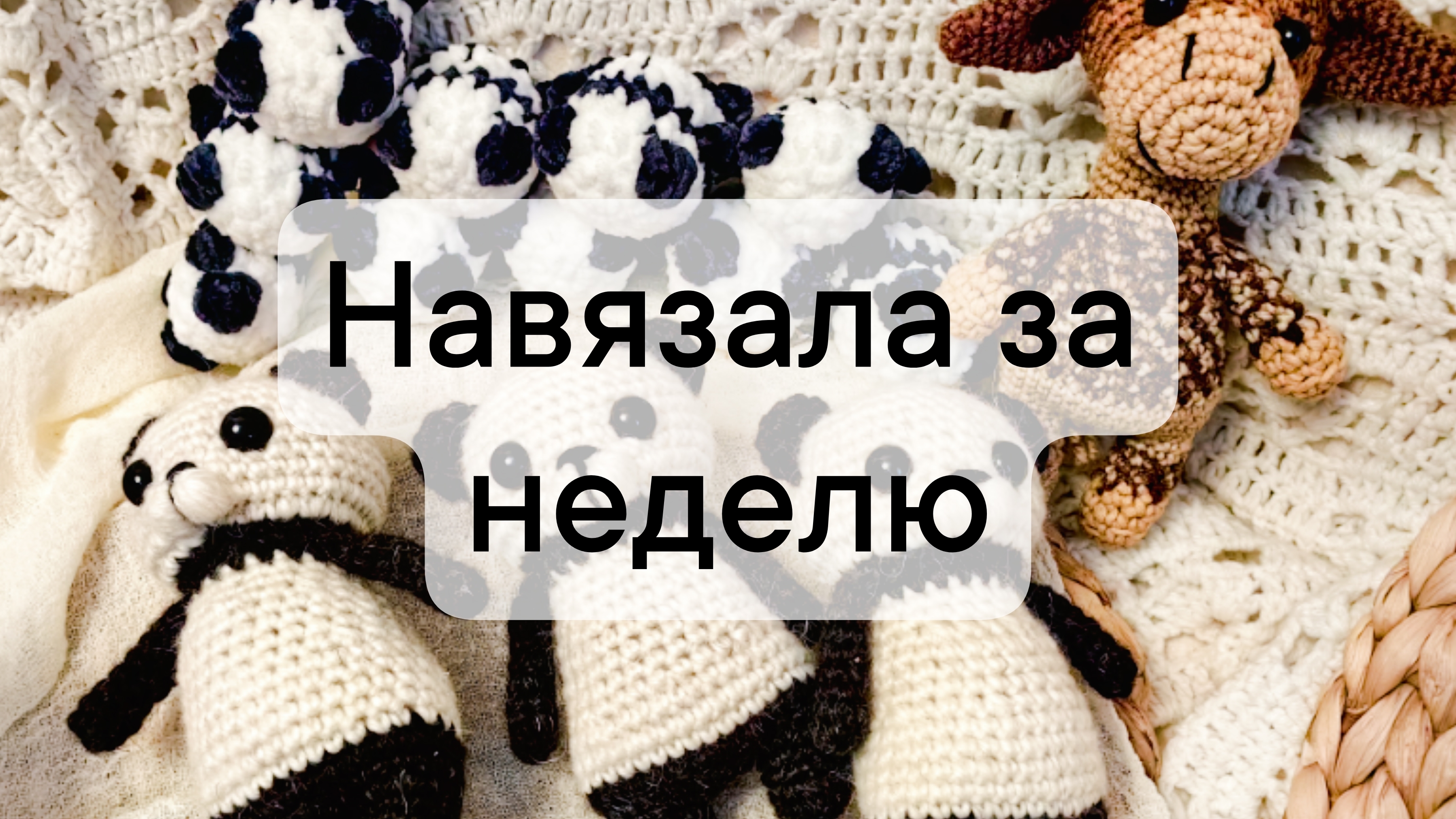 вязовлог 31/2025 навязала за неделю