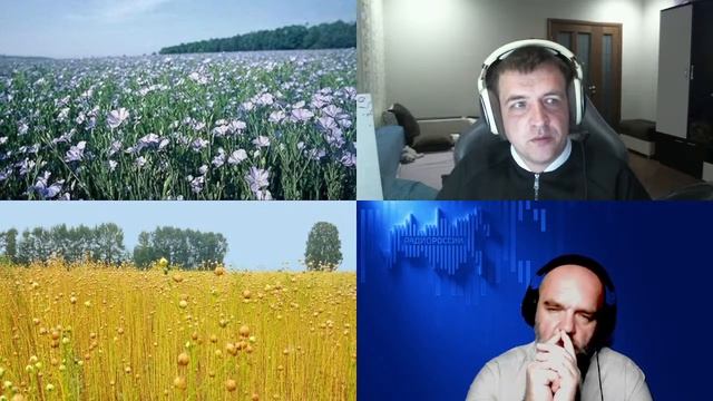 1584. Уваров А.В._ Русский лён. Расцвет масличного льна