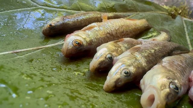 ХАКАН  CATCH and COOK, Primitive Fishing. Bushcraft Best Shelter