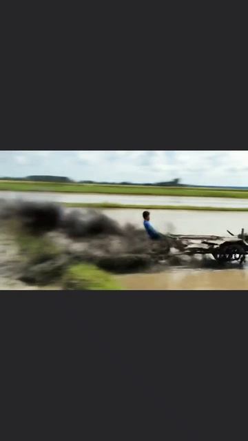 Вспахал (ИИ) 🤣