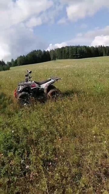 Мопеды сериал | Серия 1604