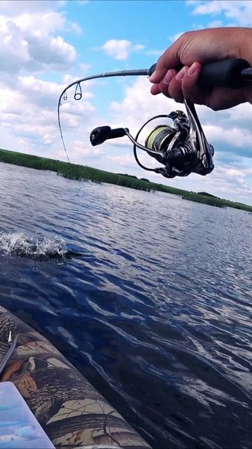 ИДЕАЛЬНО ПРИПАРКОВАЛ ЩУКУ