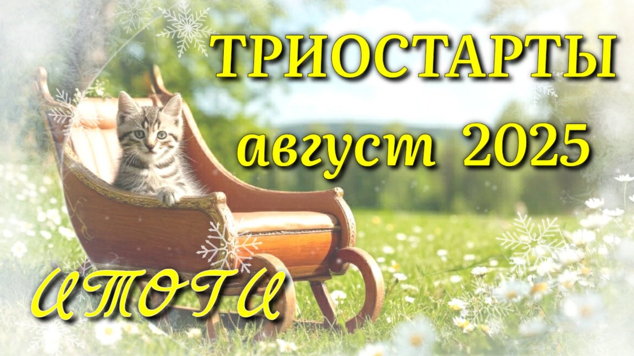 Итоги недели и СП Триостарты Августа. Котошарф спицами, косынки ажурные крючком, маленький мишка