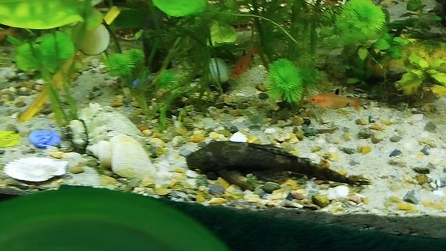 Аквариум 200 литров!