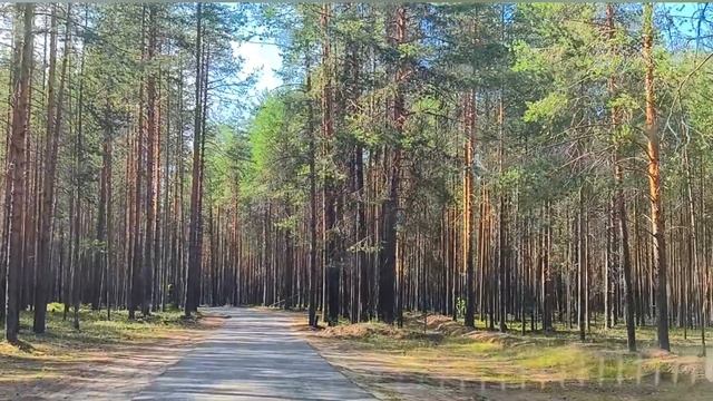 Природа родного края